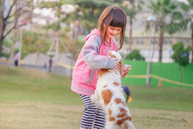 Animaux de compagnie